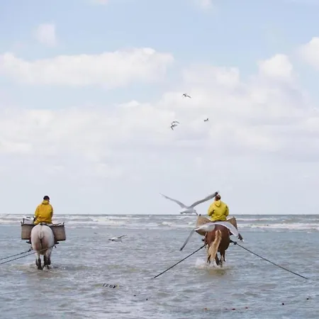 شقة By Belgian Coast With Sun Terrace أوستدوينكيرك