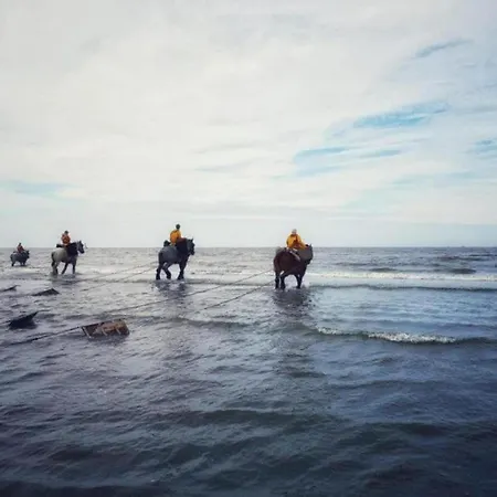 By Belgian Coast With Sun Terrace *