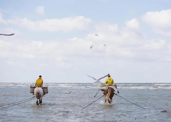 شقة By Belgian Coast With Sun Terrace أوستدوينكيرك